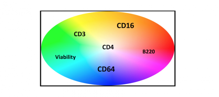 colour wheel