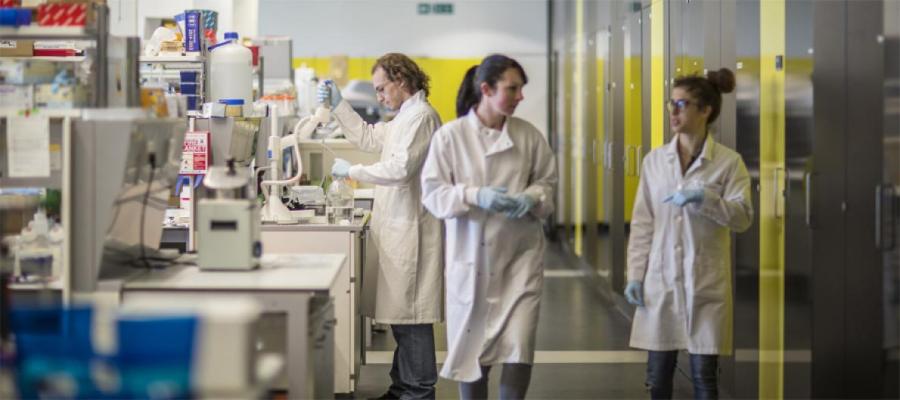 people working in a laboratory