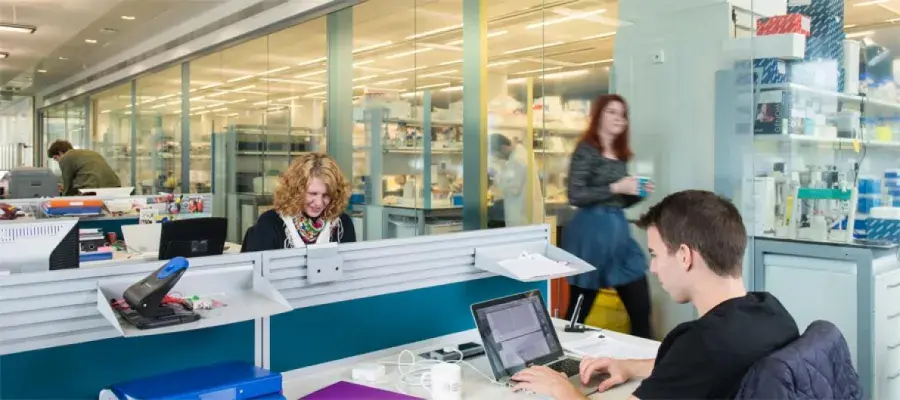 people working in a computer laboratory