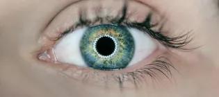 Jobs & opportunities