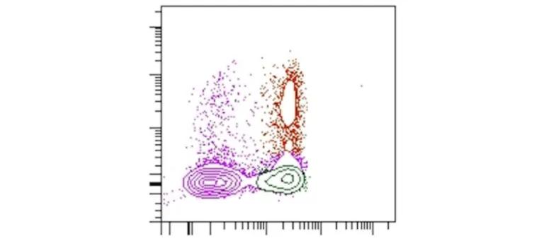 results diagram