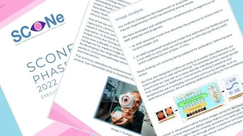 Screenshots of the summary report