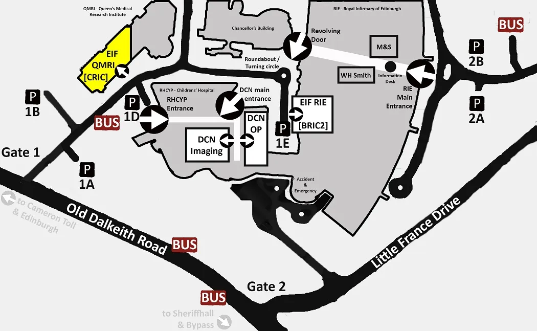 Edinburgh Imaging Facility QMRI map - EIF QMRI highlighted in yellow.