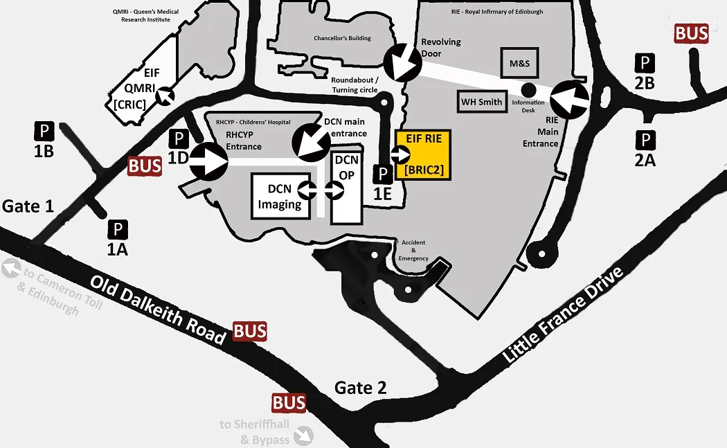 Edinburgh Imaging Facility RIE map - EIF RIE highlighted in yellow