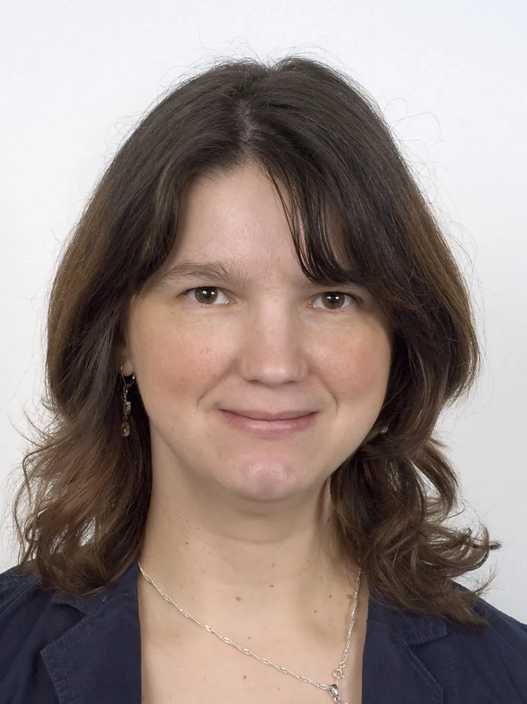 Programme Deputy Director Dr Mihaela Crisan