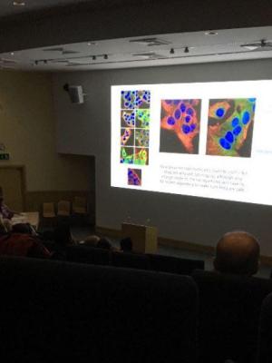 Lecture theatre with presentation on large screen