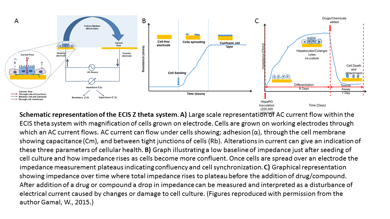 ECIS Schematic