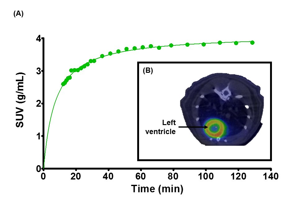 Graph of rat heart glucose uptake measured by PET