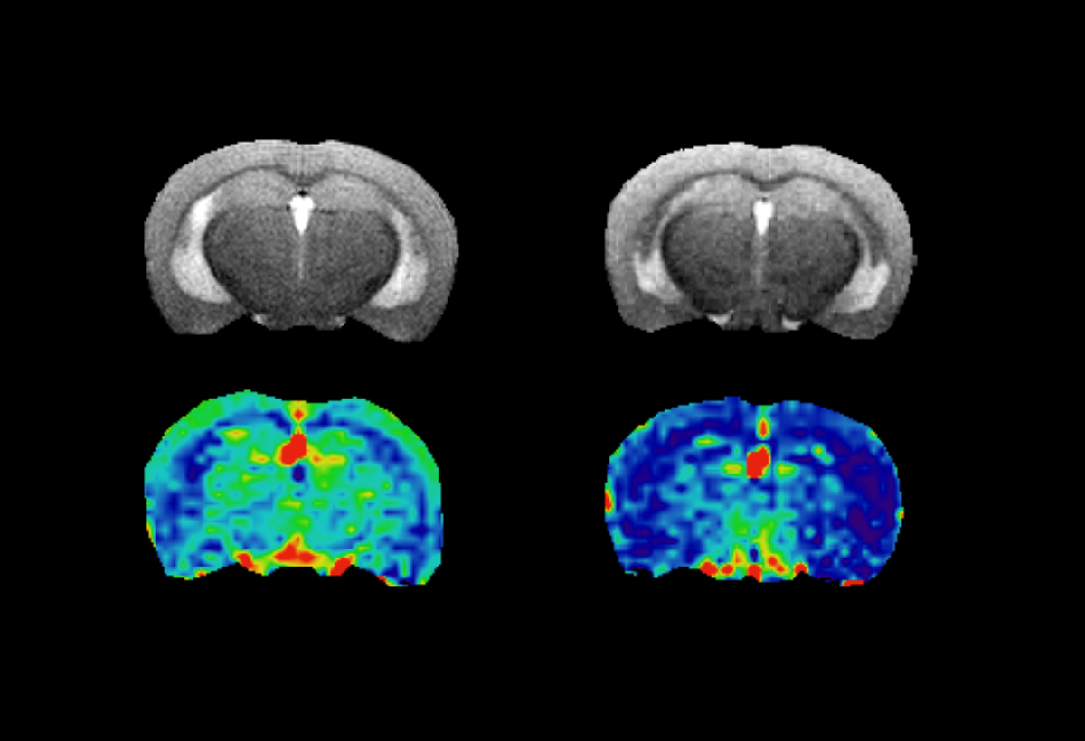 Image of the month June 2016