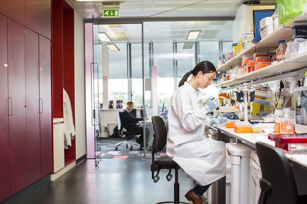 Research lab at the Centre for Regenerative Medicine (CRM)