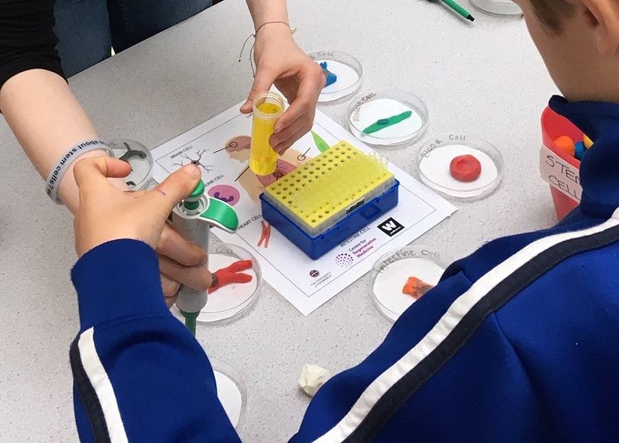 Growing stem cells at Midlothian Science Festival