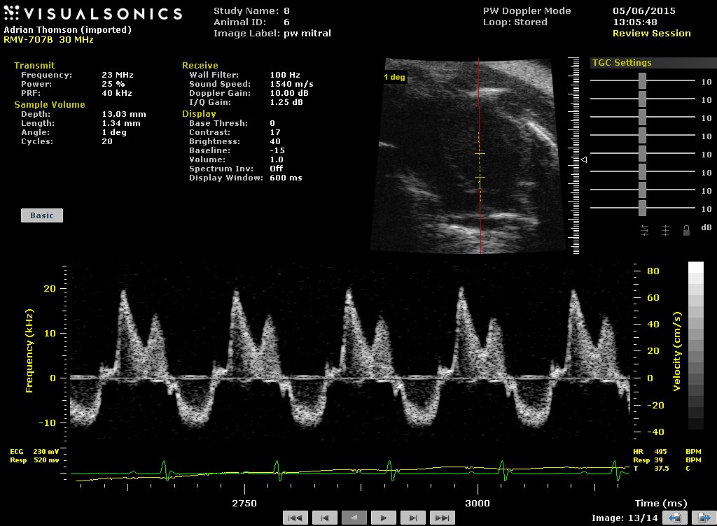 ultrasound mouse heart image