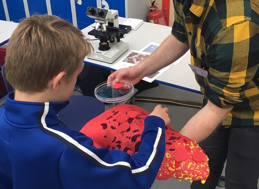 Liver Repair at Midlothian Science Festival