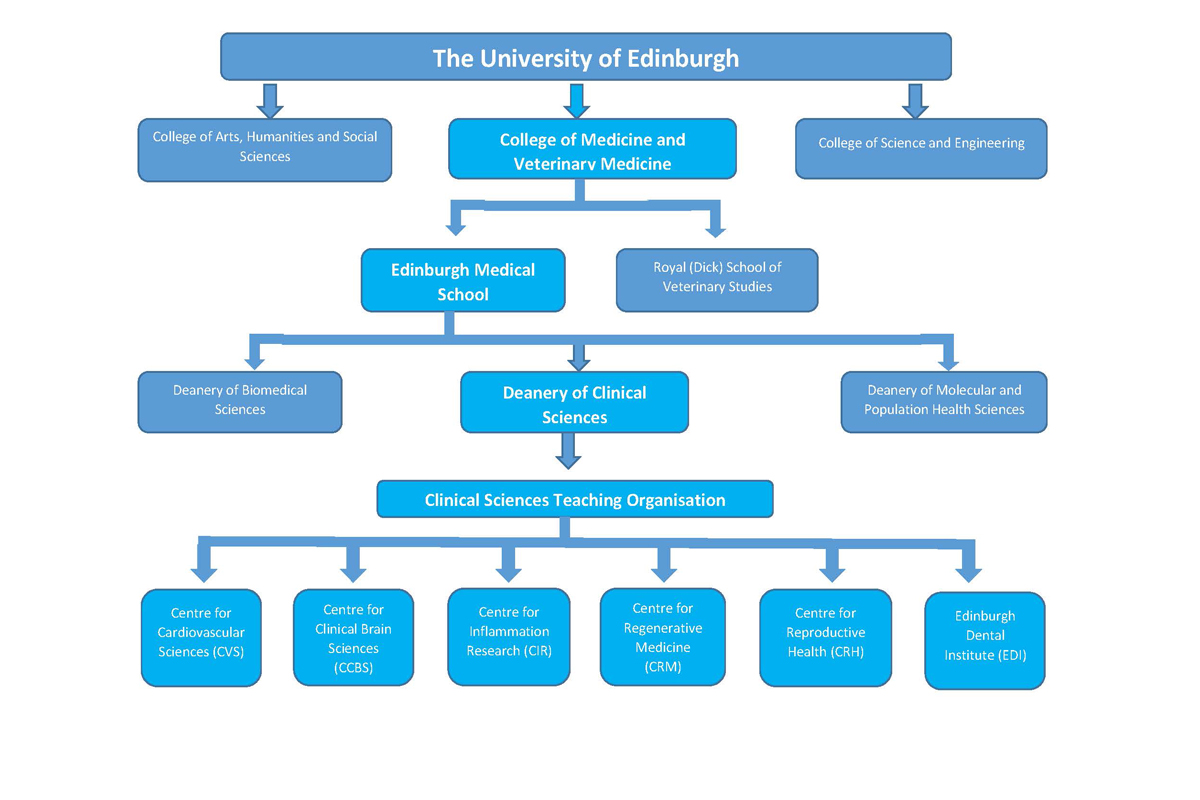 University structure